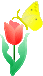XԂɃ`EIbv
