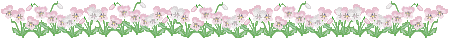 Happy Birthday♪ お誕生日のお花